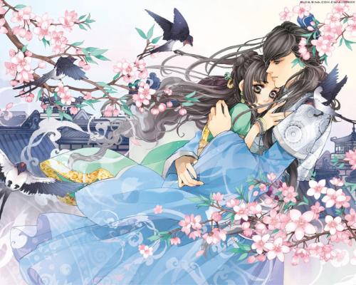 小红帽2026版本更新